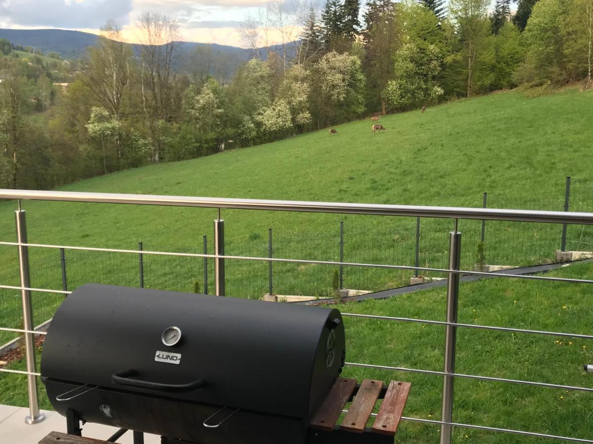 Willa Przy Skoczni Dom Wakacyjny Wisła Exteriör bild