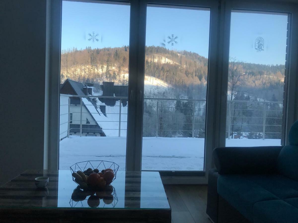 Willa Przy Skoczni Dom Wakacyjny Wisła Exteriör bild