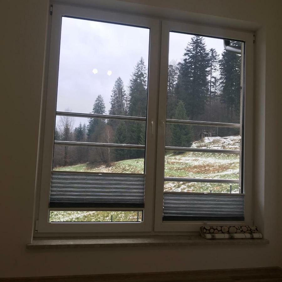 Willa Przy Skoczni Dom Wakacyjny Wisła Exteriör bild