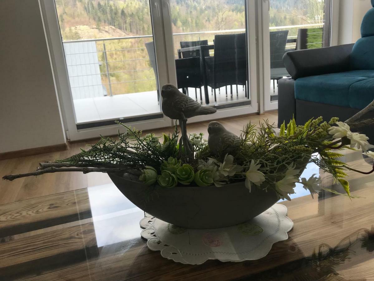 Willa Przy Skoczni Dom Wakacyjny Wisła Exteriör bild