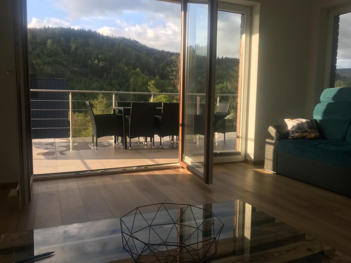 Willa Przy Skoczni Dom Wakacyjny Wisła Exteriör bild